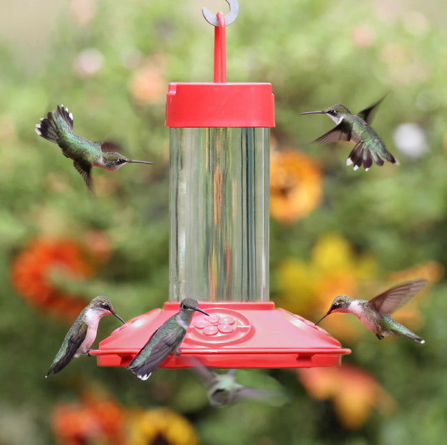 JB's Hummingbird Feeder with four feeding ports, red tray, and clear glass reservoir, surrounded by hummingbirds in flight and feeding.