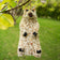 Snow Bear Wild Bird Seed Feeder: Squirrel-shaped bird feeder made of sunflower hearts, featuring seed paws, berry eyes, and a jute hanger for easy display.
