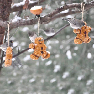 Gingerbread Men Bird Seed Treats, set of 3, hanging on a tree branch, designed to attract birds with millet and berries.