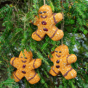 Gingerbread Men Bird Seed Treats, set of 3, hanging from a tree, made entirely of seeds, designed to attract various birds to your yard.