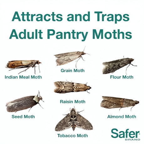Pantry Pest Trap, 2 Pack; close-up of moth and bird images highlight pest control solution for moths in pantry, covering 400 sq ft per trap.
