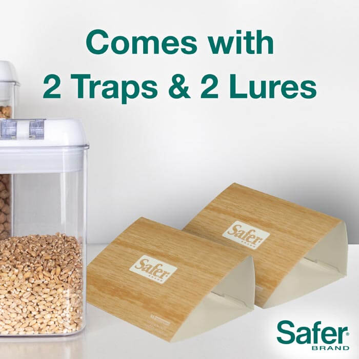 Pantry Pest Trap, 2 Pack, shown with a container of grains and a brown paper card holder.