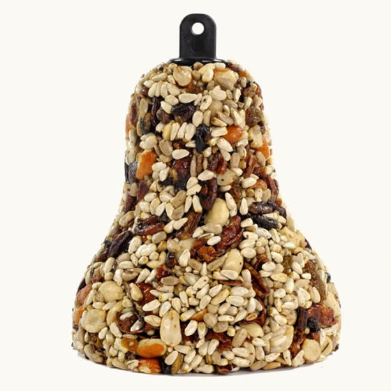 Hearty Fruit & Nut Bell: A bell-shaped bird seed treat featuring pecans, sunflower seeds, peanuts, dried fruits, and a built-in hanger with a red raffia tie.