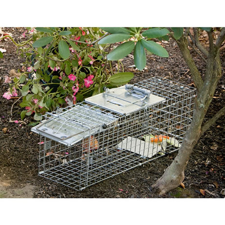 Havahart Easy Set Collapsible animal trap with open door, featuring sturdy rust-resistant wire mesh and spring-loaded mechanism for catching small animals like rabbits and skunks.