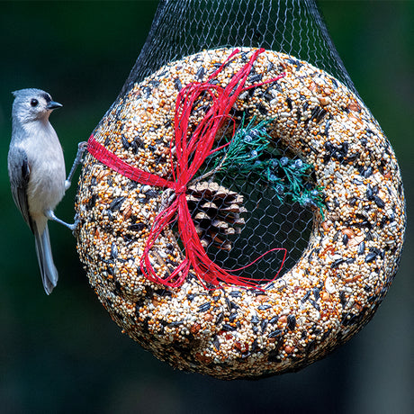 WildFeast Bird Seed Wreath hanging outdoors, featuring a solid mix of seeds, nuts, and fruits. A bird perches on the wreath, enjoying the nutritious feast.