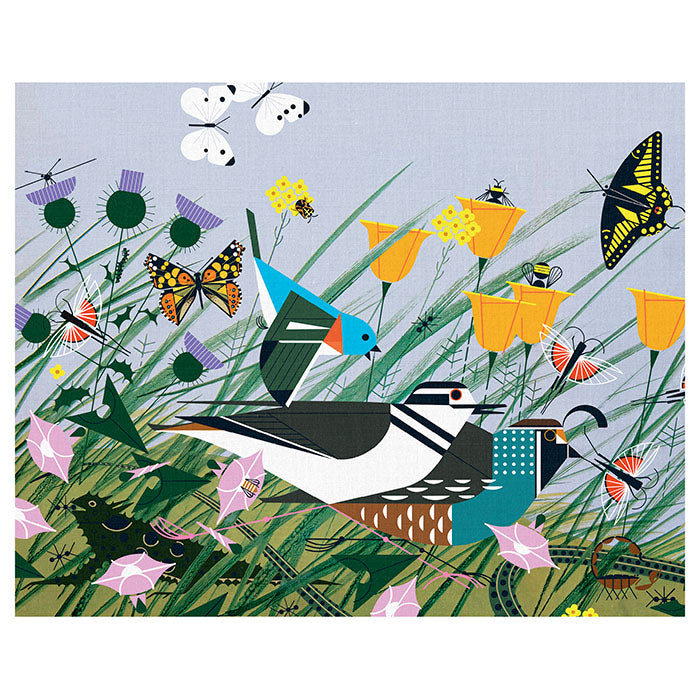 Charley Harper Once There Was a Field Notecard, Single, features vibrant birds and butterflies in a flower field, printed on high-quality 250 gsm card stock.