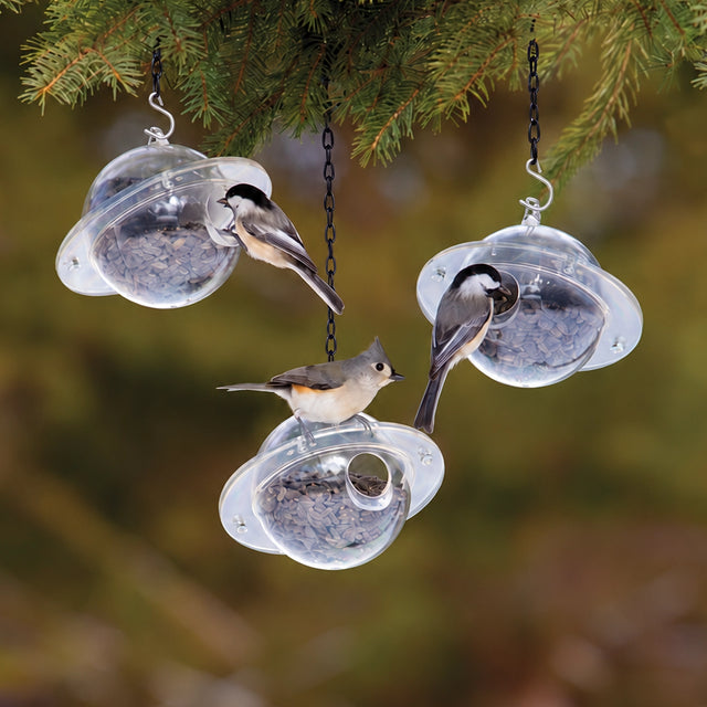 Duncraft Satellite, Set of 3 bird feeders, featuring small birds eating seeds from clear, pigeon-proof feeders on a tree branch.