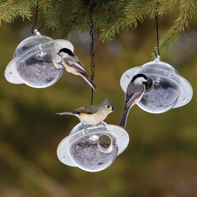 Duncraft Satellite, Set of 3 bird feeders, featuring small birds eating seeds from clear, pigeon-proof feeders on a tree branch.