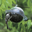 Duncraft Satellite Feeder with a bird eating sunflower seeds, designed for small clinging birds, featuring a single seed port and a hanging chain.