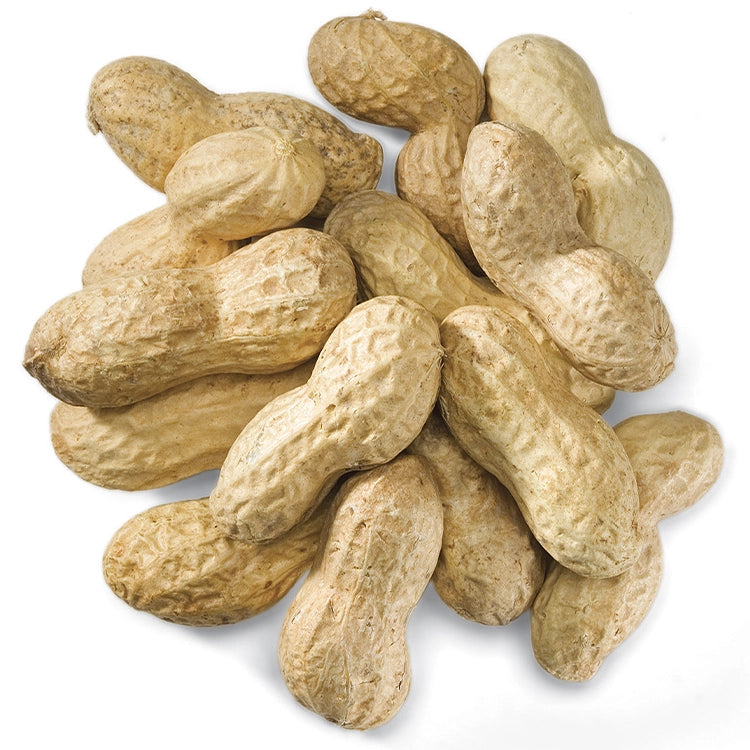 Peanuts In Shell, 5 Lbs. - A pile of unsalted, whole peanuts ideal for feeding birds and squirrels, providing high-protein nutrition.