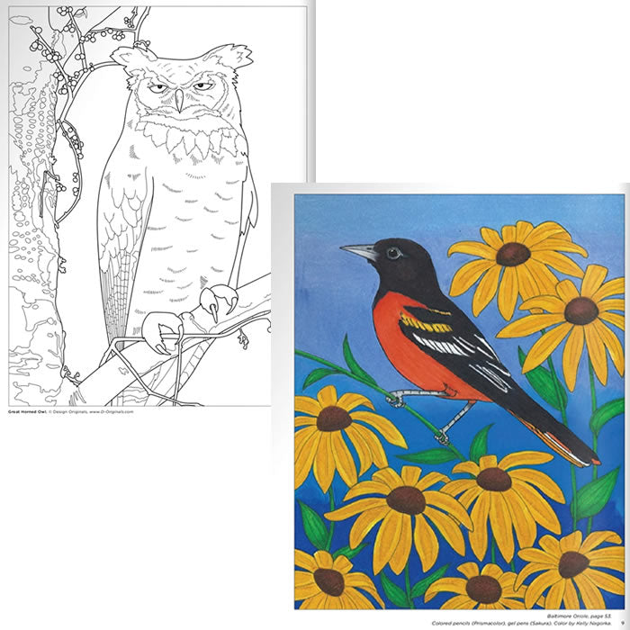 Coloring book titled Birds at Home Coloring Book: Discover Interesting Facts About Your Favorite Birds featuring detailed illustrations of an owl and a bird on a branch with flowers.