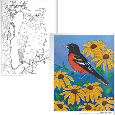 Coloring book titled Birds at Home Coloring Book: Discover Interesting Facts About Your Favorite Birds featuring detailed illustrations of an owl and a bird on a branch with flowers.