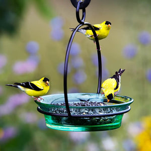 Cuban Bowl & Metal Hanger, 5 Colors to Choose: Yellow birds eating seeds from a brightly colored bowl bird feeder with metal hanger, perfect for outdoor songbird feeding.