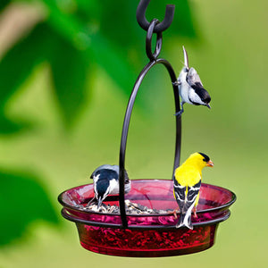 Cuban Bowl & Metal Hanger with birds perched on it, demonstrating its use as a versatile bird feeder in an outdoor setting.