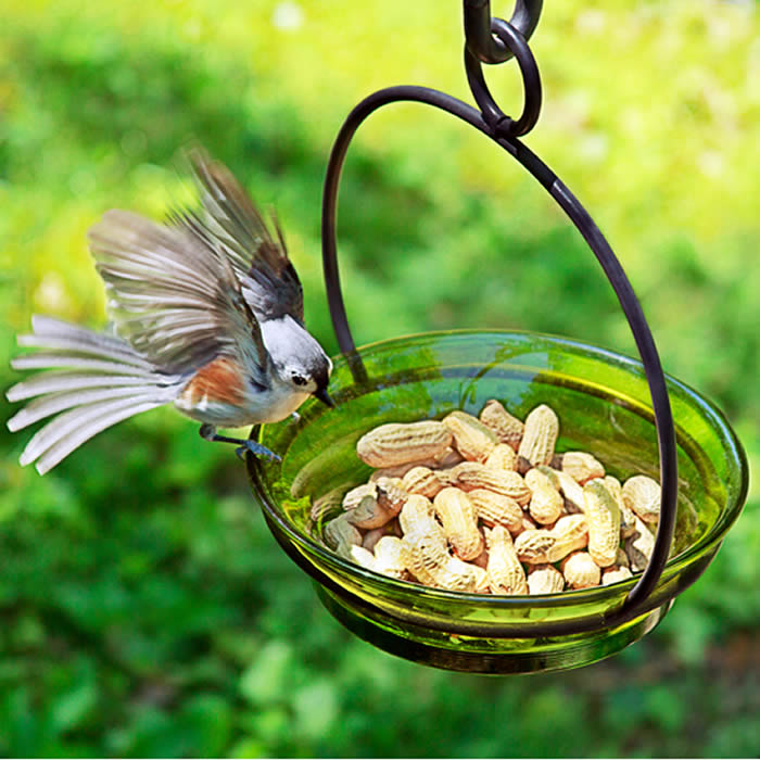 Cuban Bowl & Metal Hanger with peanuts, attracting a bird. Bowl is easy to hang, clean, and perfect for backyard bird feeding.