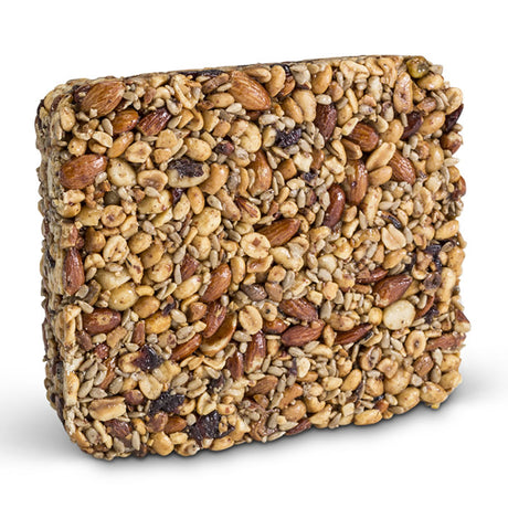 Nutsie Seed Cake, a square-shaped, close-up food item made of mixed nuts, sunflower hearts, and dried fruit, perfect for attracting birds.