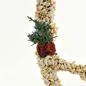 Wild Bird Seed Angel wreath, star-shaped, crafted from seeds in a suet base, decorated with evergreen sprig, juniper berries, and dried red berry for birds.