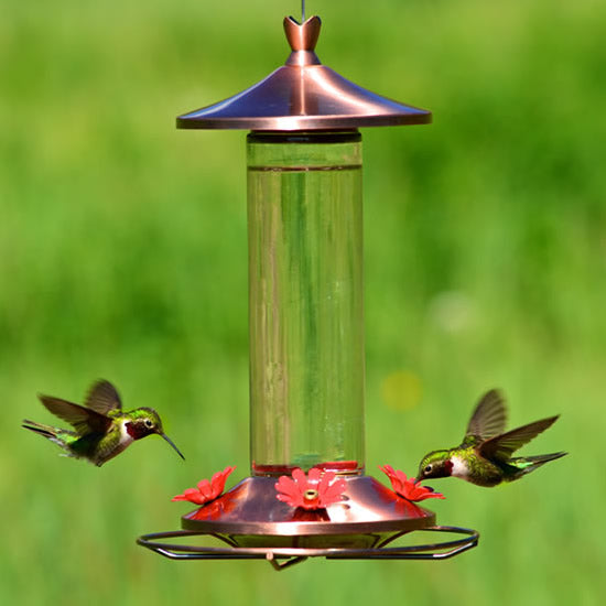 Brushed Metal Hummer Feeder with four red flower-shaped ports, wraparound perch, and clear glass reservoir; hummingbird flying near feeder.