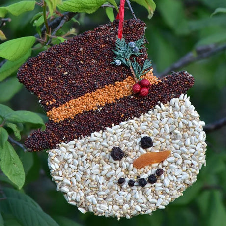 Frosty Christmas Cookie — Holiday Seed “Cookie” for Birds: Snowman-shaped bird feeder with seed coat, apricot nose, blueberry eyes, and red raffia hanger for trees.