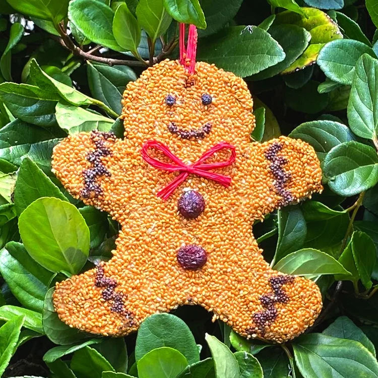 Gingerbread Man bird seed ornament featuring a seed-coated base, dried-fruit decorations, and a red raffia hanger, displayed among green shrubbery.