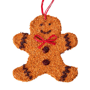 Holiday Bird Seed Cookie, Gingerbread Man featuring a seed-coated wooden base, red raffia hanger, dried-apricot nose, blueberry eyes, and raisin smile for festive bird feeding.