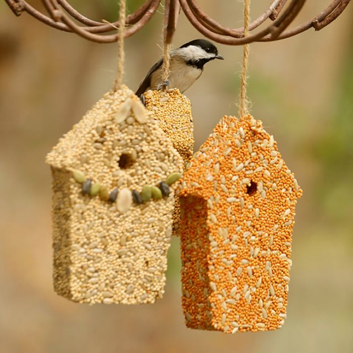 Home Tweet Home Set: Three charming, handmade bird seed houses with edible seeds and fruit, featuring jute hangers for easy tree branch hanging.