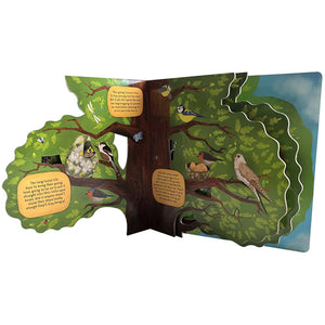 Discovering The World Of Bird Nests Board Book featuring detailed illustrations of birds and tree branches, with cut-out accents for interactive learning.