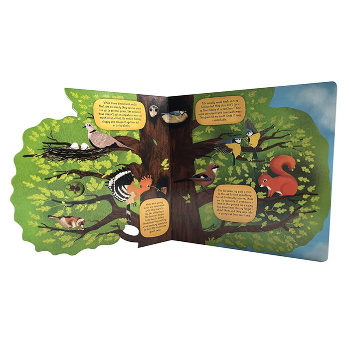 Discovering The World Of Bird Nests Board Book showcasing cut-out accents, bird illustrations, and educational captions, providing a hands-on learning experience for young readers.