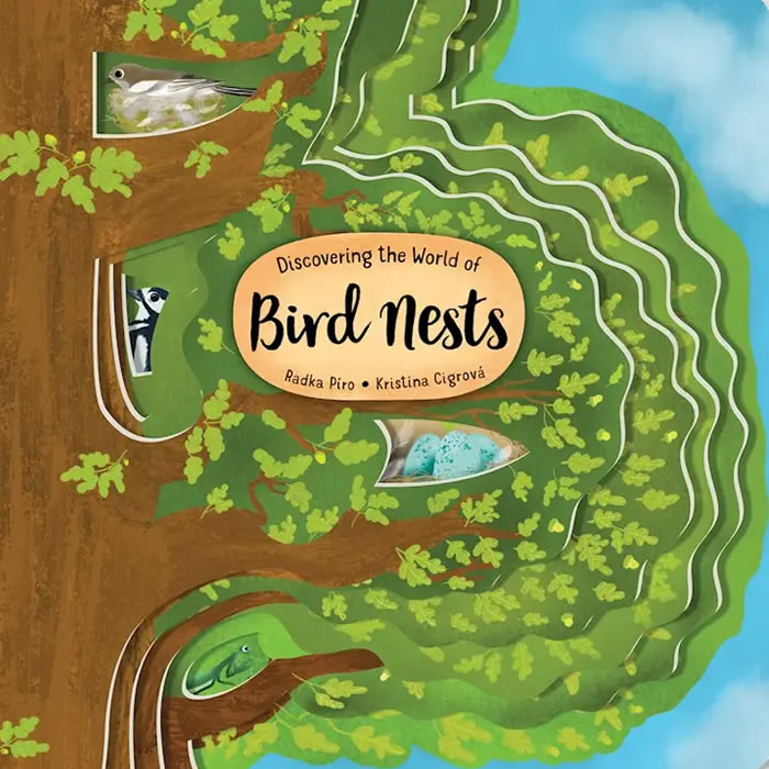 Discovering The World Of Bird Nests Board Book: Cover features an illustrated bird nest, emphasizing educational and interactive elements for children.