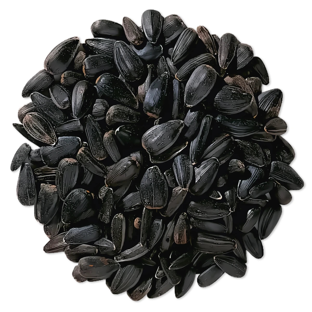Duncraft Black Oil Sunflower Wild Bird Seed, 5-lb bag, featuring a pile of premium black seeds ideal for attracting various birds with easy feeding.