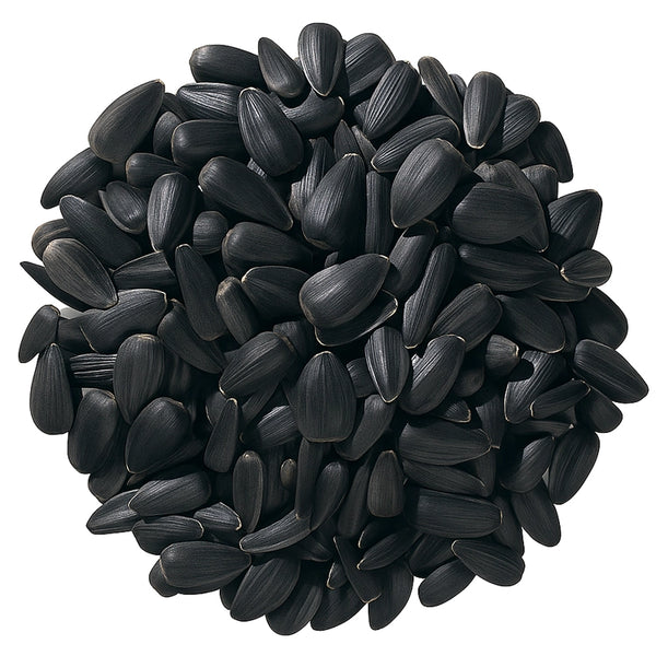 black sunflower seeds for planting Duncraft Black Oil Sunflower Wild Bird Seed, 5-lb bag