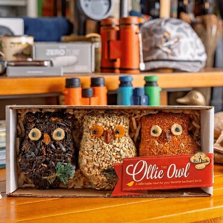Set of three Ollie Owl bird seed ornaments in black, natural and orange seed varieties, beautifully packaged in a gift box for backyard bird lovers.