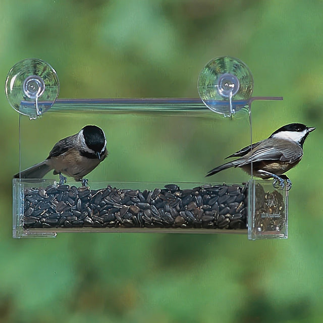 Duncraft Classic Window Feeder with two suction cups, featuring birds actively feeding. Clearview plastic design for close-up viewing, easy to clean and fill.