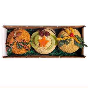 Fruit & Nut Seed Balls, Set of 3, in a box, featuring bird seed balls topped with fruit or nuts, perfect for attracting birds.