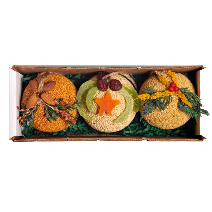 Fruit & Nut Seed Balls, Set of 3, in a box, featuring bird seed balls topped with fruit or nuts, perfect for attracting birds.