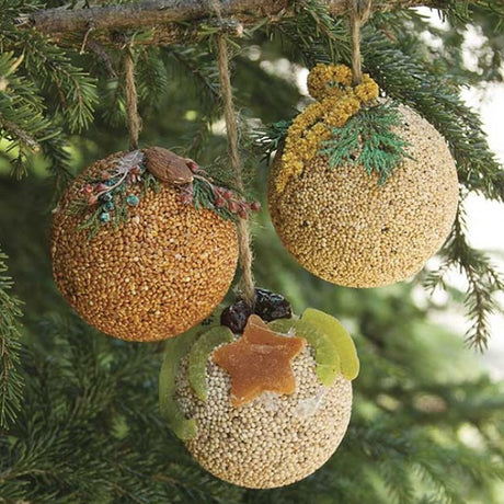 Fruit & Nut Seed Balls, Set of 3, hanging from a tree branch, each topped with fruit or nuts, ideal for attracting birds.