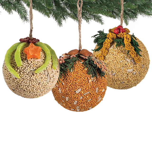 Fruit & Nut Seed Balls, Set of 3, featuring millet, sunflower hearts, and assorted fruits and nuts, designed for attracting birds.