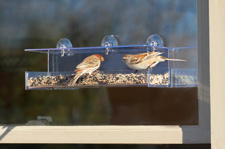 Duncraft Classic III Window Bird Feeder with birds feeding, clearview plastic, roof, perching space, and three suction cups attached to a window.