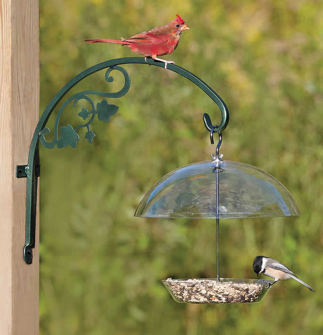 Heavy Duty Vine Hanger holding a bird feeder with a bird perched on it, highlighting the sturdy metal construction and decorative scroll pattern.