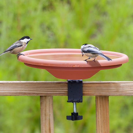 Deck Mount Bird Bath with two birds perched on the terracotta dish, attached securely to a deck railing via a sturdy steel bracket.