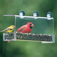 Duncraft Cardinal Classic Window Feeder with durable clear plastic, open-concept design, large suction cups, and overhanging roof; attracts birds like cardinals for close-up viewing.