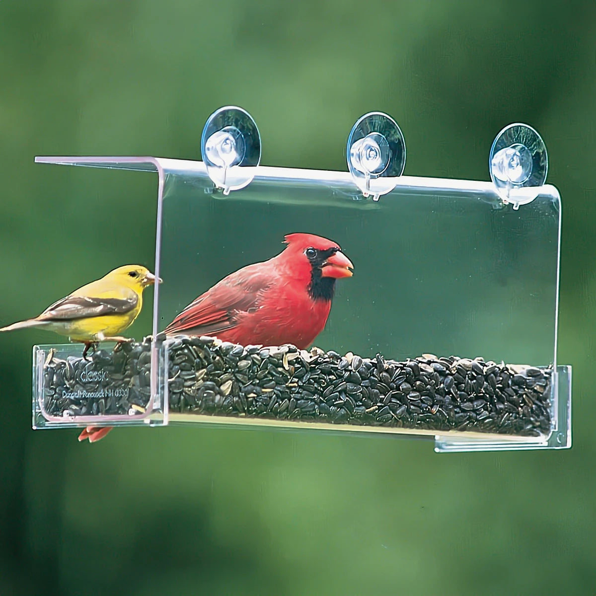 Duncraft Cardinal Classic Window Feeder with durable clear plastic, open-concept design, large suction cups, and overhanging roof; attracts birds like cardinals for close-up viewing.