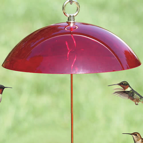 Hummerfest Weather Dome shelters hummingbird feeder with a red plastic dome, protecting nectar from rain and sun. Features an eye hook for easy hanging.