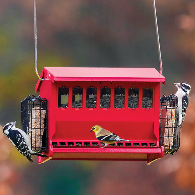 Seeds N More Feeder, Red, with birds feeding on seeds and suet, featuring a secure metal roof and clear plastic windows for monitoring seed levels.