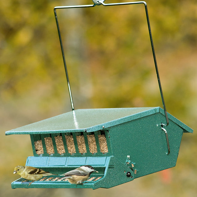 Squirrel Resistant Birder's Choice feeder with birds perched, displaying its weight-activated perch and all-metal construction designed to block squirrels.