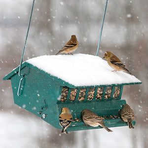 Squirrel Resistant Birder's Choice feeder with birds on it, covered in snow, showcasing weight-activated perch to deter squirrels.