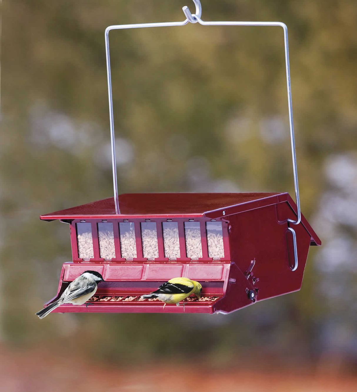 Birder's Choice Feeder with birds perched, featuring a spring-operated perch to deter squirrels, holding 5 lbs of seed.