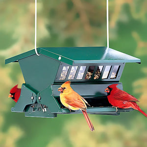 Absolute II Bird Feeder with birds, featuring weight-activated perches to deter squirrels; includes a metal hanger and 58-inch pole for mounting.