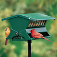 Absolute II Bird Feeder with birds perched, showcasing its squirrel-resistant, weight-activated perches and sturdy metal design, ideal for outdoor bird feeding.