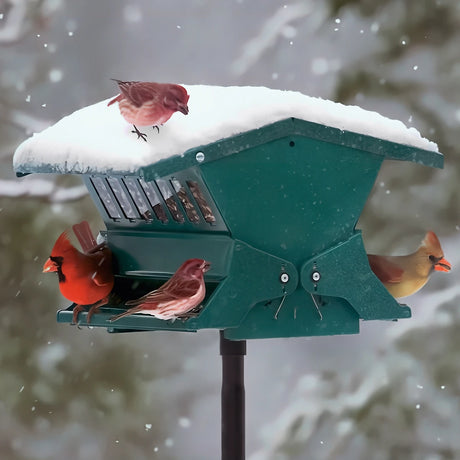 Absolute II Bird Feeder with birds feeding, showcasing its squirrel-resistant design and weight-activated perches against a snowy, outdoor backdrop.